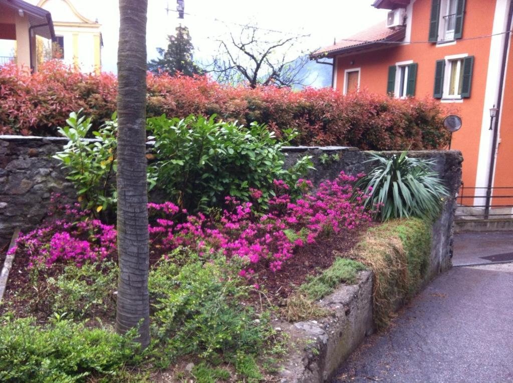 B&B Villa Dei Pini Cannobio Exteriör bild