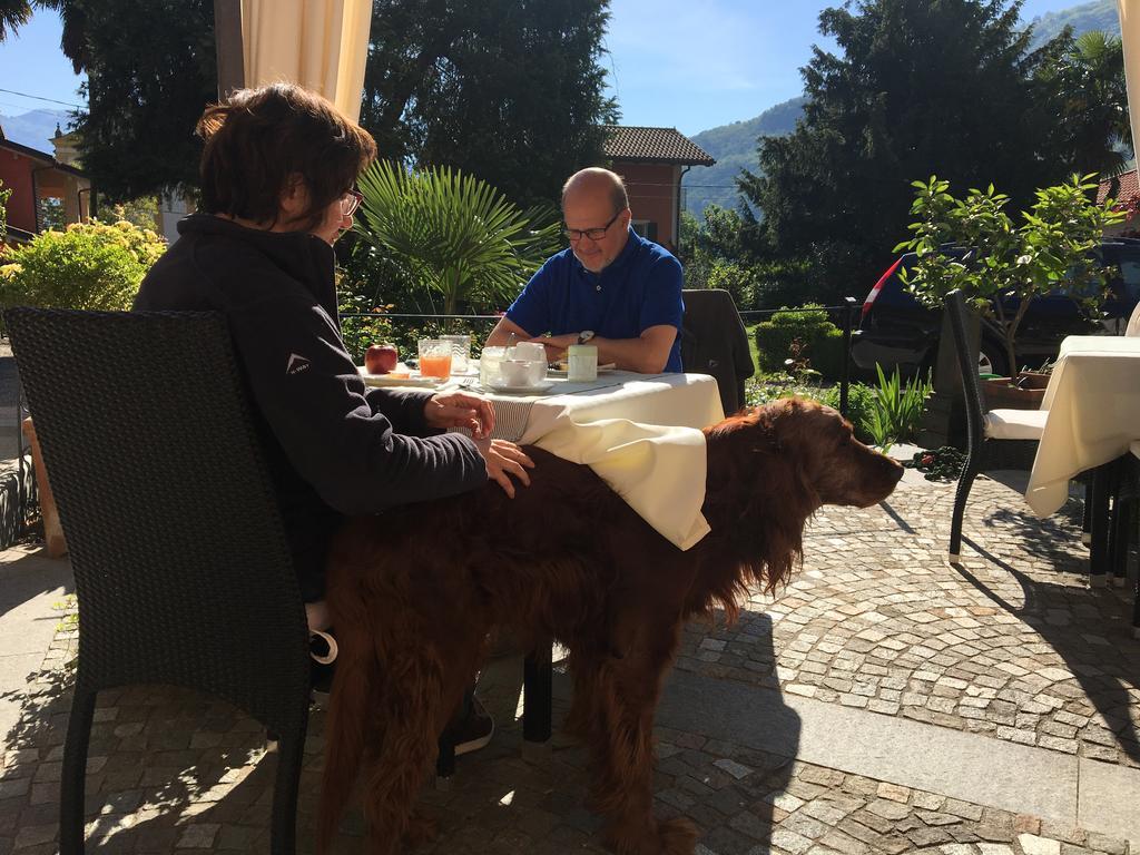 B&B Villa Dei Pini Cannobio Exteriör bild