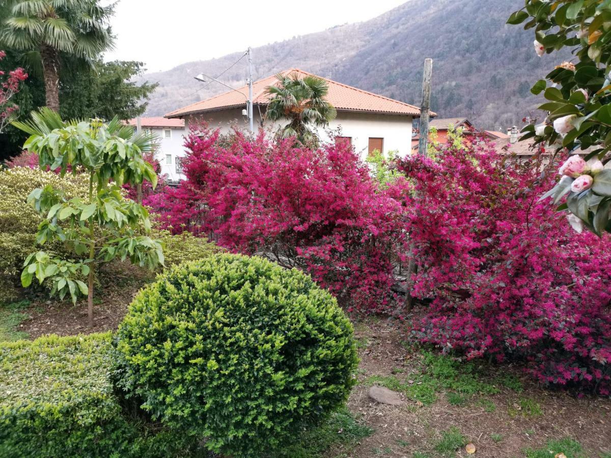 B&B Villa Dei Pini Cannobio Exteriör bild